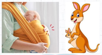 Kangaroo Care